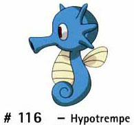 N 116 Hypotrempe